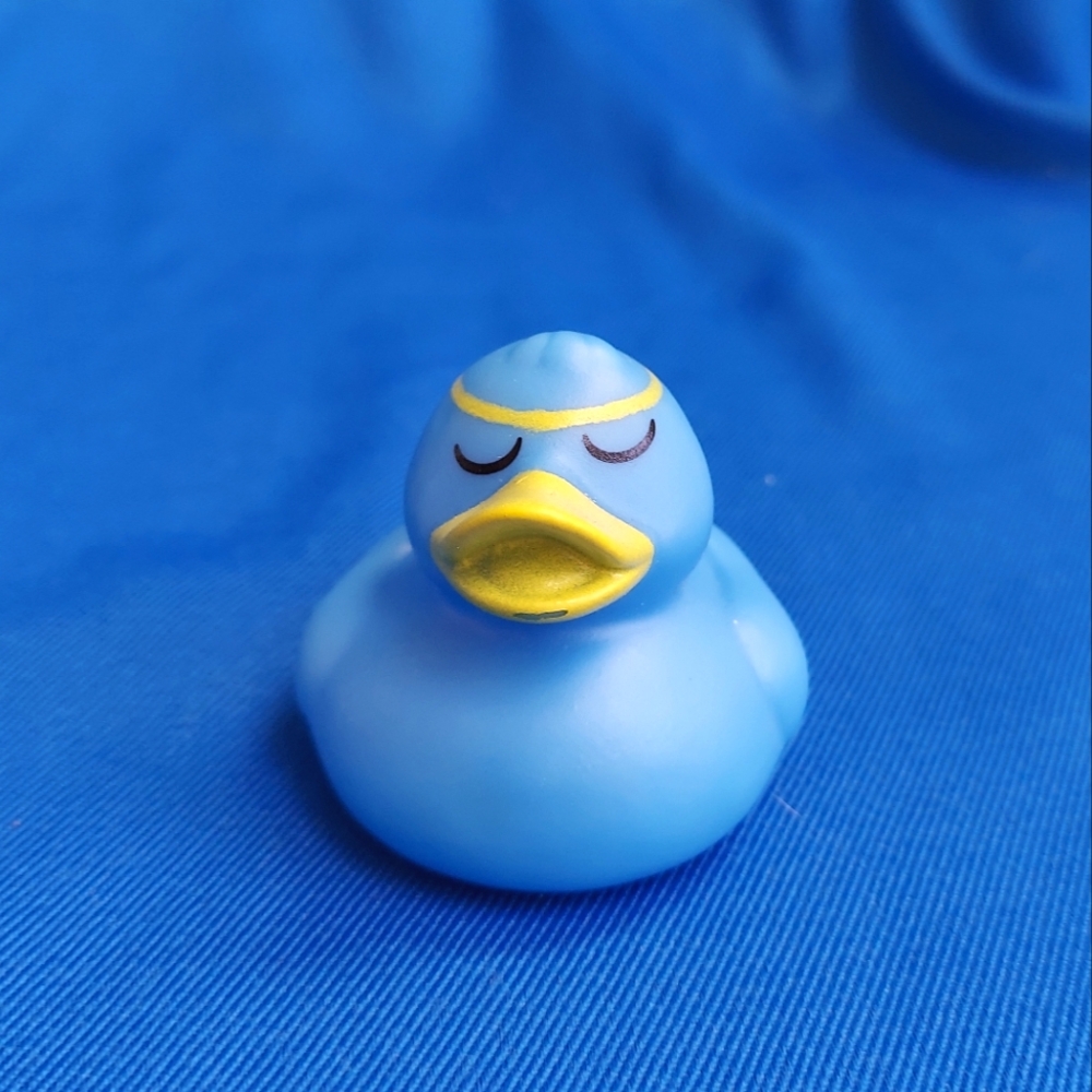#17 Duck For Duck Duck Plushie Game